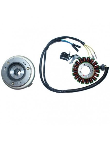 stator + magneto