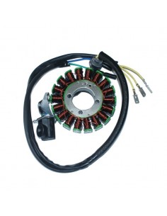 stator + magneto