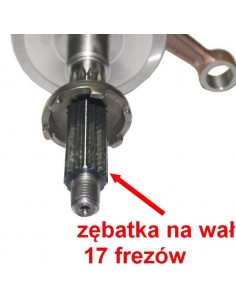 zębatka rozrusznika na czop wału 13mm ( 17 frezów )