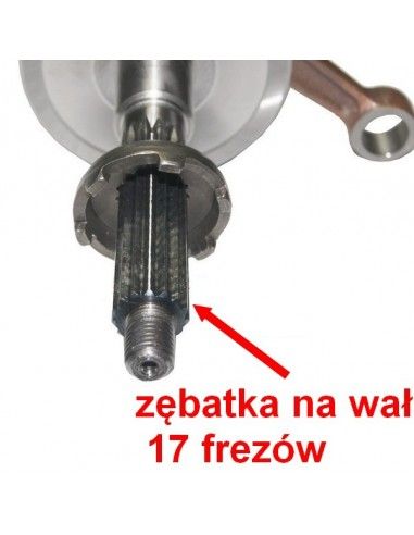 zębatka rozrusznika na czop wału 13mm ( 17 frezów )