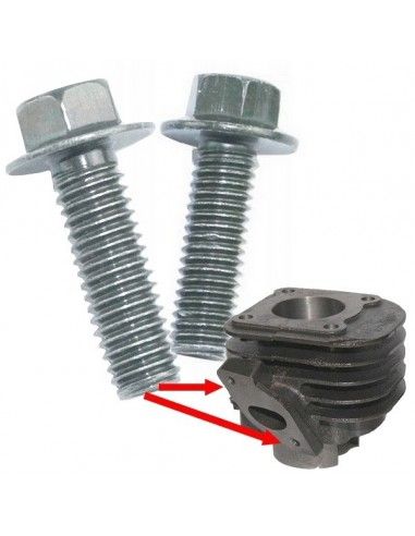 cylinder 2T 50cm