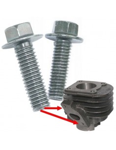 cylinder 2T 50 sworzeń 10mm