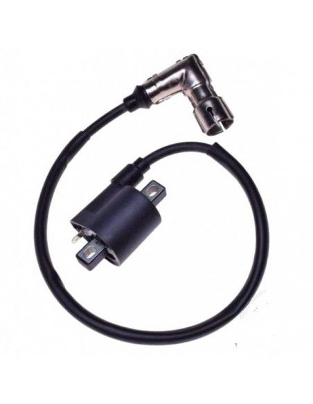 Cewka zapłonowa cross 250 chiński