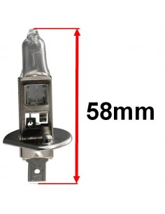 Żarówka 12V 55W  przedniego reflektora do motocykli