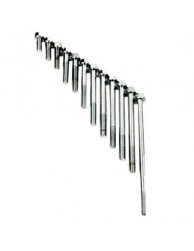 Śruby silnika do BENYCO 110 quad atv