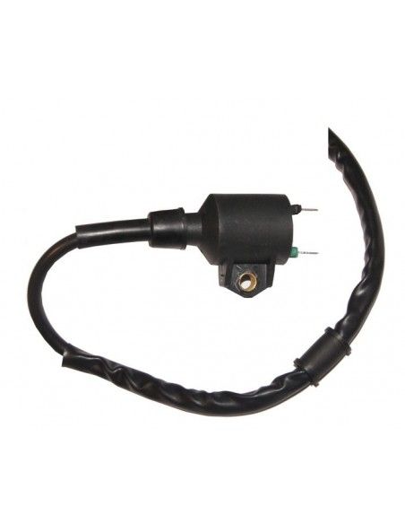 Cewka zapłonowa do Cpi Aragon Oliver Formula Hussar Popcorn 2T 50