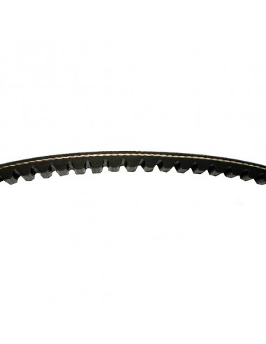 Pasek napędowy do BARTON 21 50 4T