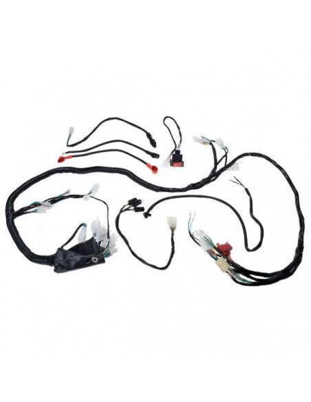 Instalacja elektryczna wiązka Loncin LX250ST Bashan BS250S-5 Jianshe Puma 250