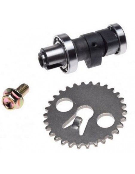 wałek rozrządu do ROUTER CITY LINE EURO 4