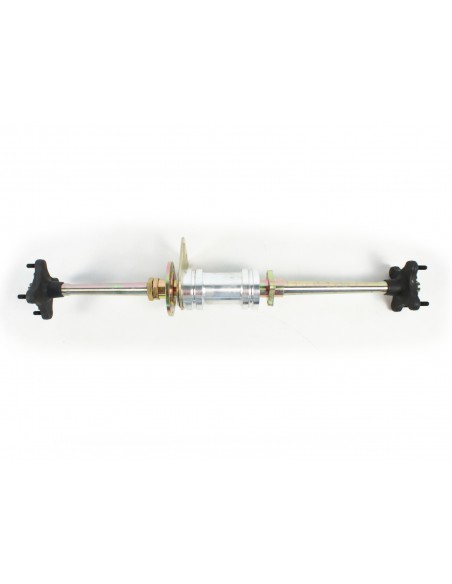 Oś tylna Bashan 250