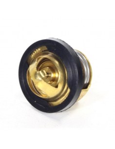 Termostat quad Shineray 250