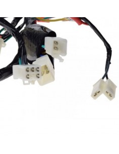 Wiązka , instalacja elektryczna do Junak 901 Sport