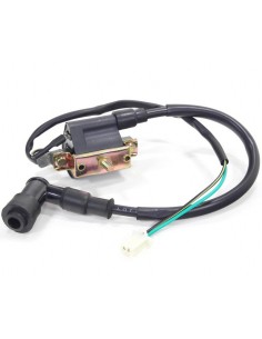 Instalacja elektryczna cross 125 z cewką