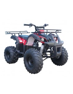 Stopień do quada 110 125  o kształcie karoserii widocznej na zdjęciu