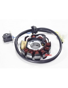 stator 11 cewek do Bashan 200 250