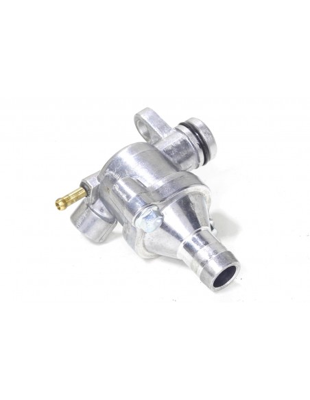 Termostat do Bashan 250