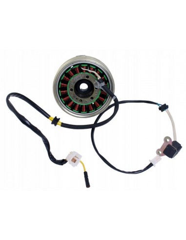 Magneto w komplecie stator do skutera Romet Maxi 250