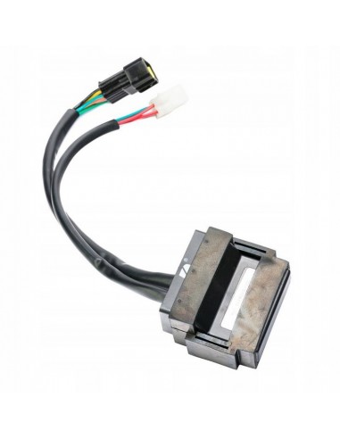 Moduł sterownik do Router WS 50