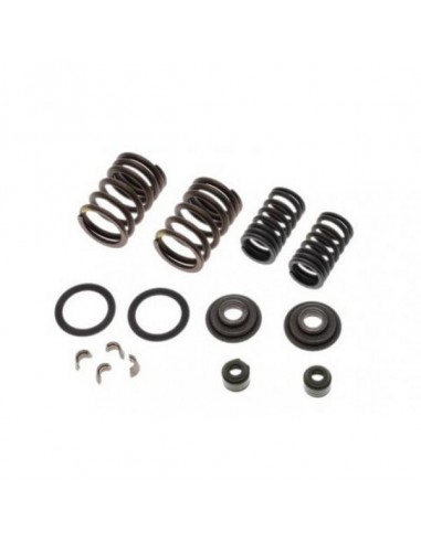 Sprężyny na zawory do SMC Barossa 250