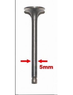 Zawory ssący i wydechowy skuter 4T