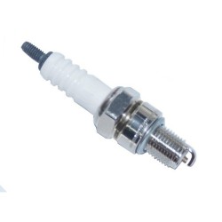 Gaźnik i świeca do motorowerów