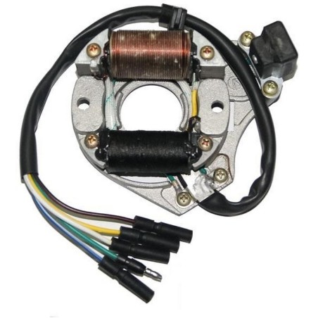 Iskrownik do Wonjan WJ50 stator zapłon 2 cewki