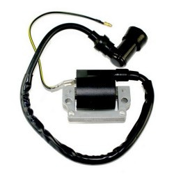 Cewka Kingway Naked 50