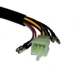 kostka na 6 pinów i czterema luźnymi przewodami.