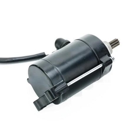 Rozrusznik do Zipp Raven...