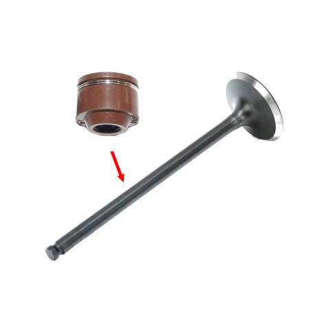 Uszczelniacze zaworowe skuter 4T 50