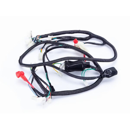 Instalacja elektryczna do Zipp Quantum 2T