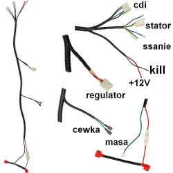 Schemat - Instalacji elektrycznej silnika do Router Bassa City Line 50 4T do 2017 wiązka euro 3