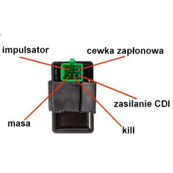 Schemat podłęczenia modułu zapłonowego Router WS 50